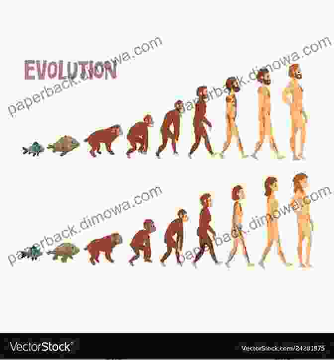 A Diagram Illustrating The Process Of Evolution Crack NEET And Clarify The Conceptual Conduits: A Guide For Biology