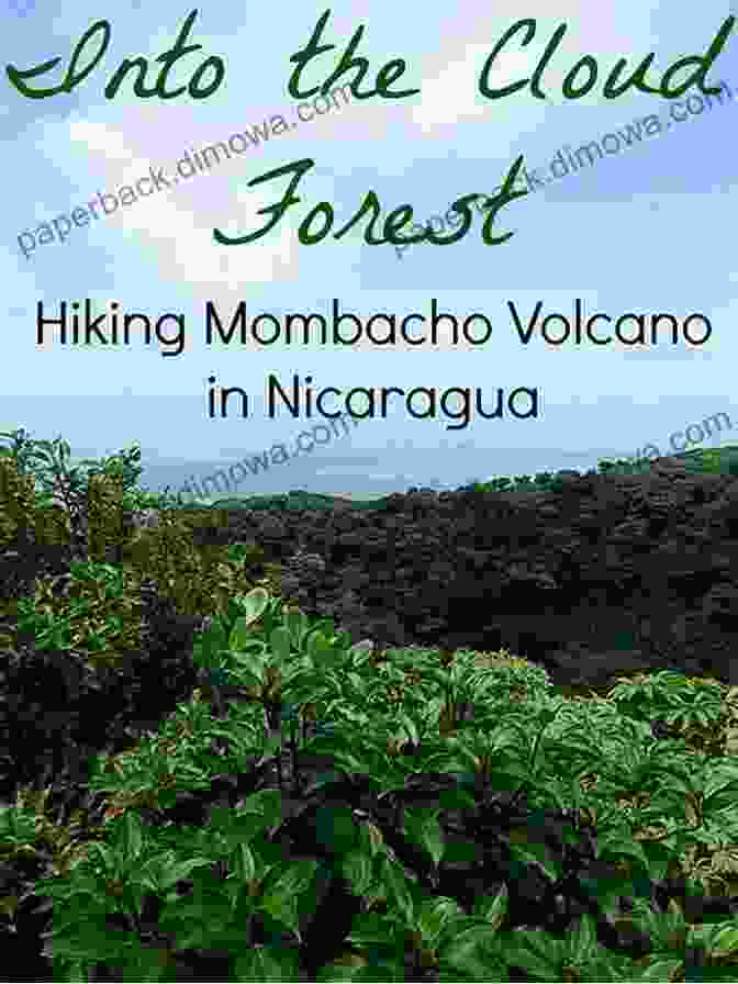 Mombacho Volcano, A Dormant Volcano With Lush Rainforest And Panoramic Views Christmas In La Gran Sultana: A Holiday Journey To Granada Nicaragua