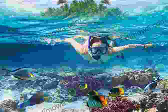 Snorkeling Belize Book Cover Featuring Vibrant Underwater Photographs Snorkeling Belize: A Of Photographs