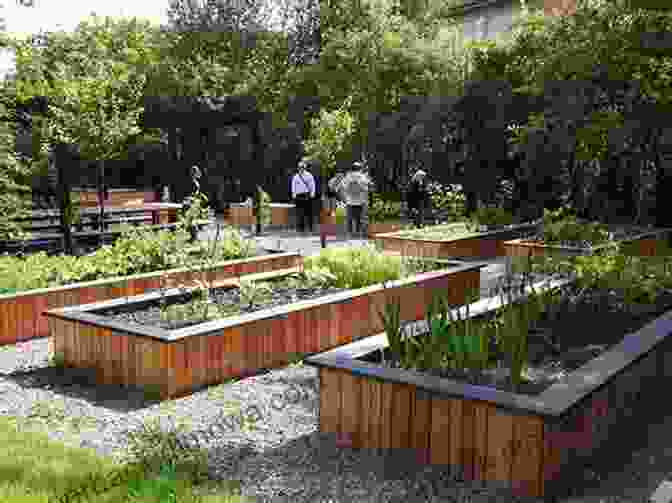 Urban Community Gardens, Featured In The Greenhouse Ken Luber