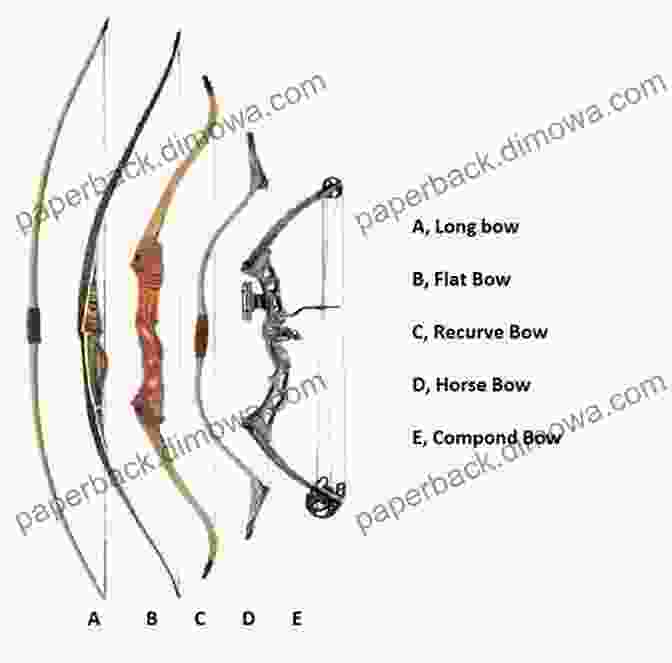 Variety Of Bows And Arrows On Display, Illustrating The Different Types And Choices Available To Archers. How To Train In Archery: Being A Complete Study Of The York Round