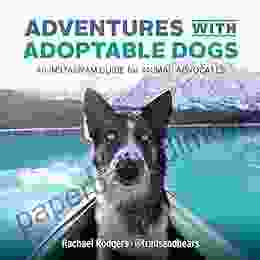 Adventures With Adoptable Dogs: An Instagram Guide For Animal Advocates