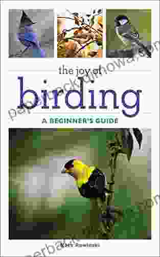 The Joy Of Birding: A Beginner S Guide (Joy Of Series)