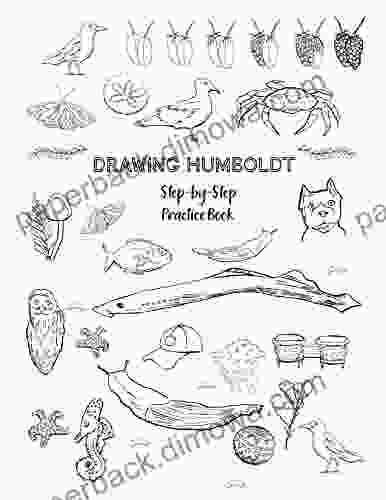 Drawing Humboldt Step By Step Practice