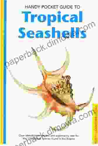 Handy Pocket Guide To Tropical Seashells (Handy Pocket Guides)