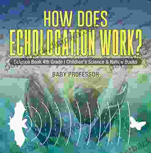 How Does Echolocation Work? Science 4th Grade Children S Science Nature