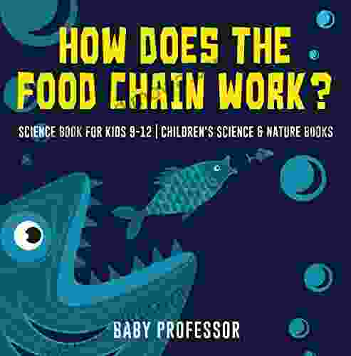 How Does The Food Chain Work? Science For Kids 9 12 Children S Science Nature