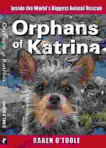 Orphans Of Katrina: Inside The World S Biggest Animal Rescue What Really Happened On The Gulf And How You Can Help Save America S Pets Today