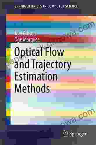 Optical Flow And Trajectory Estimation Methods (SpringerBriefs In Computer Science)