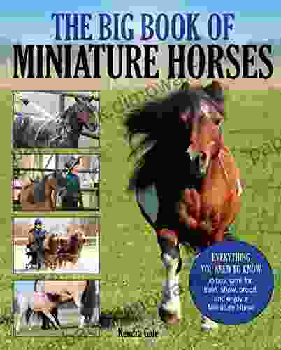 The Big Of Miniature Horses: Everything You Need To Know To Buy Care For Train Show Breed And Enjoy A Miniature Horse Of Your Own