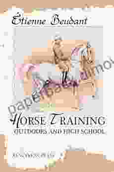 Horse Training: Outdoors And High School