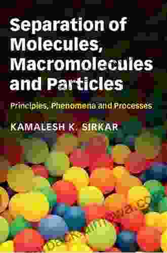 Separation Of Molecules Macromolecules And Particles: Principles Phenomena And Processes (Cambridge In Chemical Engineering)