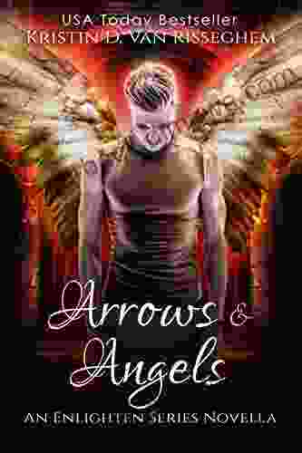 Arrows Angels (Enlighten Series) Kristin D Van Risseghem